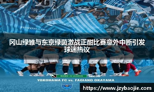 冈山绿雏与东京绿茵激战正酣比赛意外中断引发球迷热议